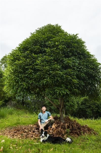 竹湖山居老闆賴金田表示,殼斗科植物的移地復育已達階段性成果,未來將會持續觀察森林生態,為自然研究盡一份心力。