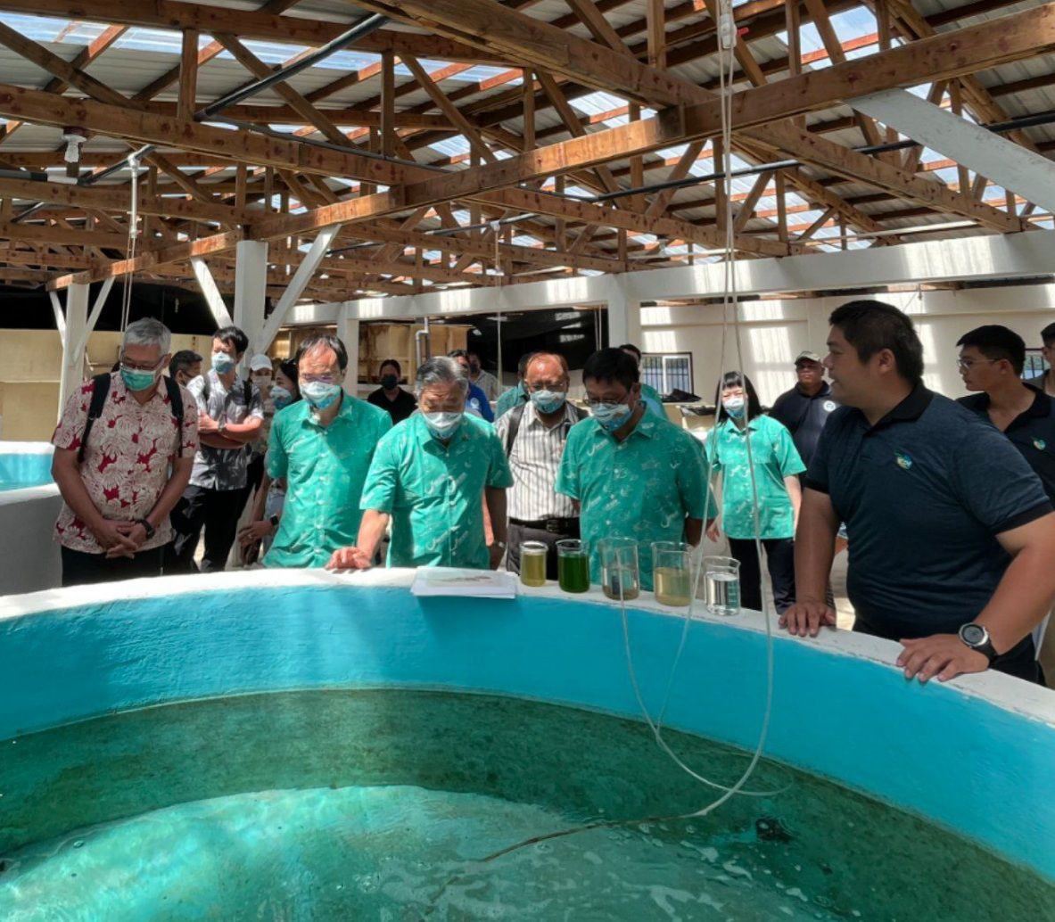 行政院環保署張子敬署長（右2）、外交部田中光政務次長（中）、海委會蔡清標政務副主委（左2）及國合會項恬毅祕書長（左1）至帛琉國家水產養殖中心了解我技術團養殖臭肚魚成果。