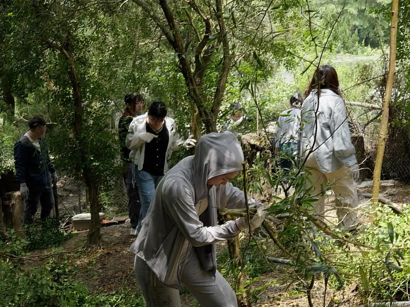 愛家貓也守護石虎！貪貪長期關注野生動物保育議題，持續以實際行動支持公益。（資料來源：貪貪Munchee）