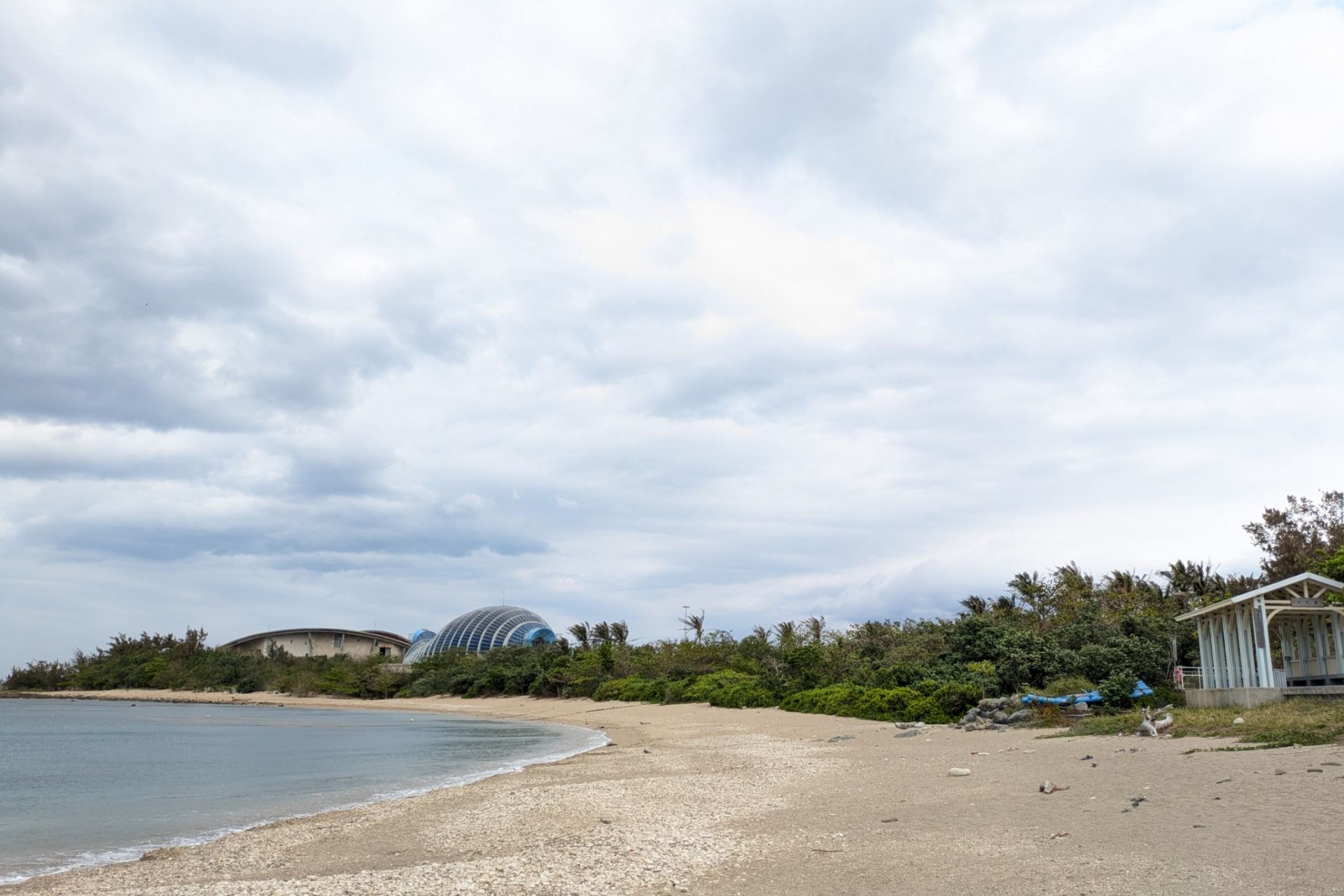 後灣海岸林陸蟹棲地,透過以地易地保護下來。攝影:李育琴
