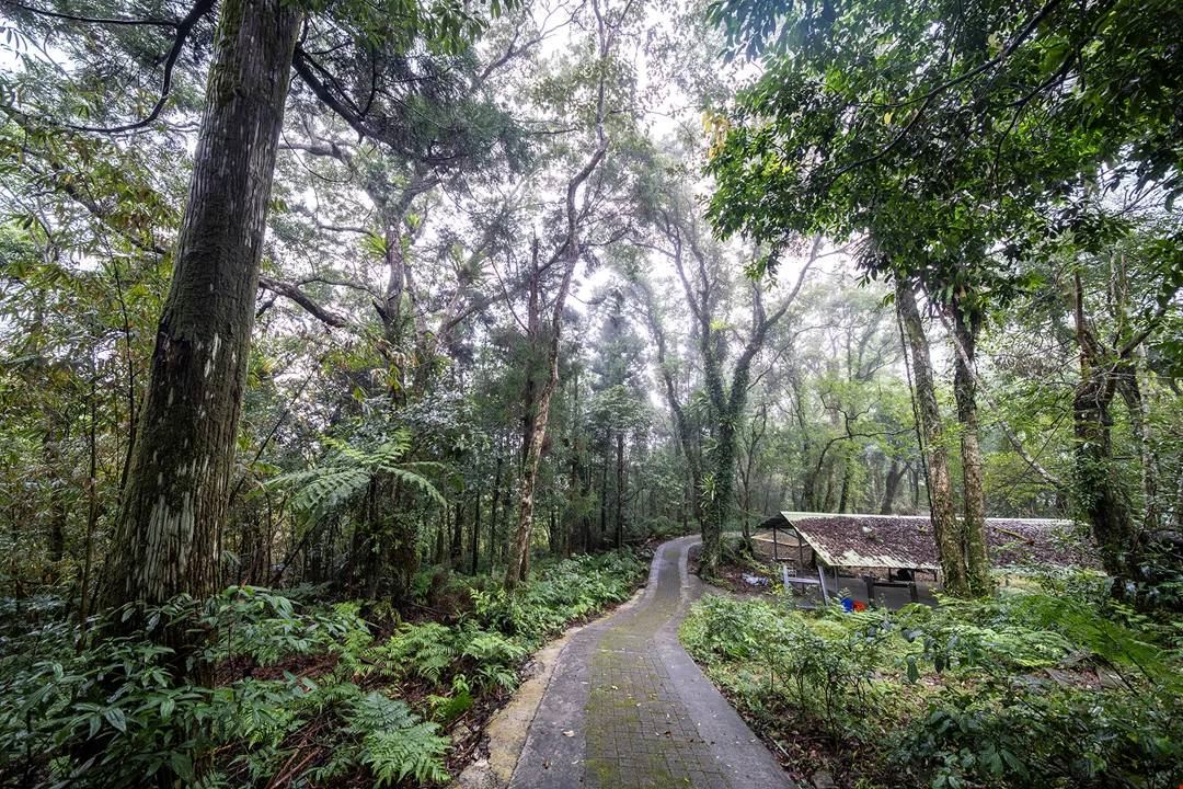 孩子們認真專注地學習射箭。