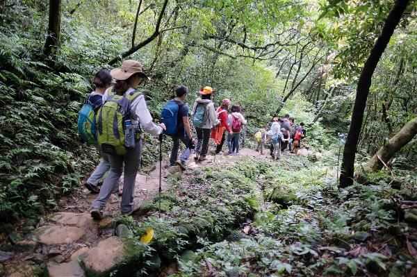 走進山林，走向自己：台灣生態登山學校