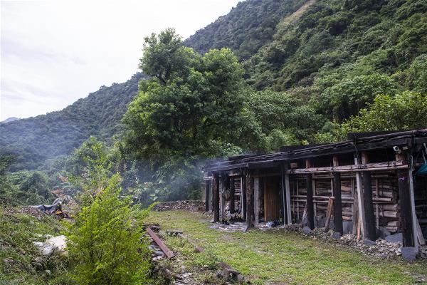 文化的認同能超越族群和血緣，許多民眾自願來到南澳的山中，齊力搭建泰雅傳統屋。