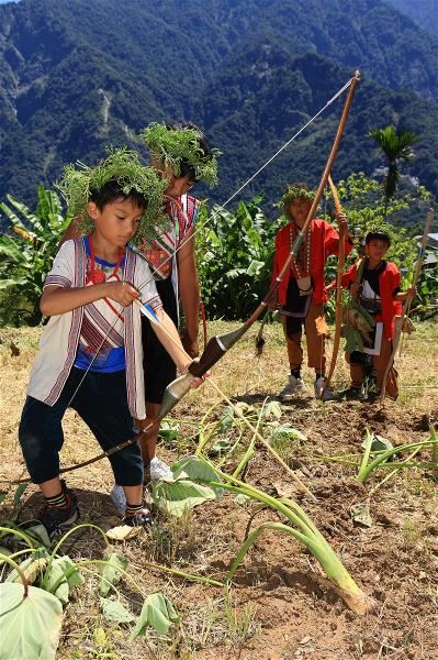 布農族射芋祭，是由男性持弓箭射向芋頭莖部，象徵注入力量，未來能收獲更多芋頭。