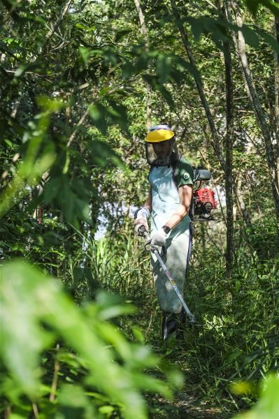 Petr每年都會親自上山完成除草、整理賽道和綁指引布條等前置作業。