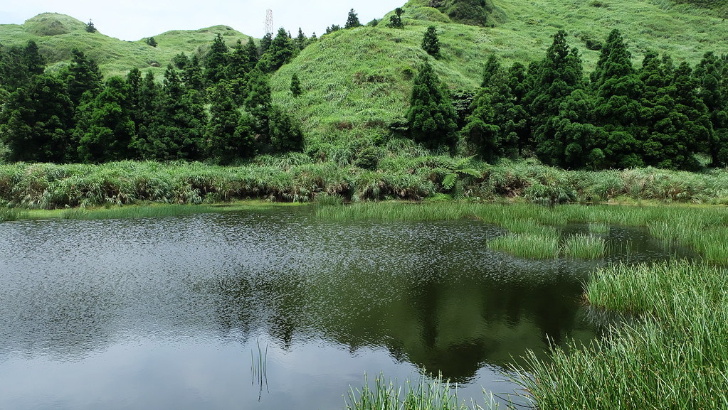 夢幻湖畔的平台,除了賞景,也可以享受蟲鳴鳥叫。攝影:陳文姿