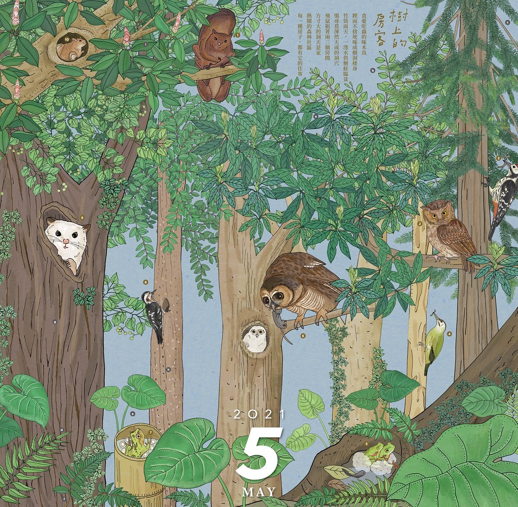 5月份「樹上的房客」描述大樹公寓中的眾生相。圖片來源：種籽設計提供