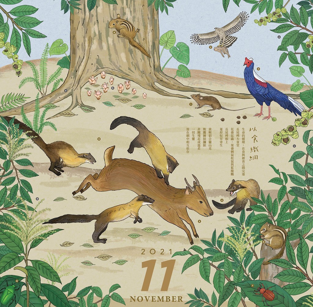 以點描工法描繪種間關係，盡量讓畫面呈現穩定安靜，降低誰吃了誰這種食物鏈的關係帶來的不舒服感。圖片來源：種籽設計