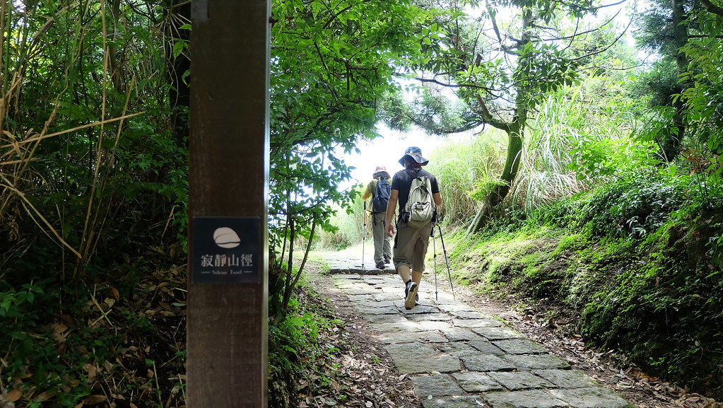 夢幻湖步道是陽明山第一條寂靜山徑。攝影:陳文姿