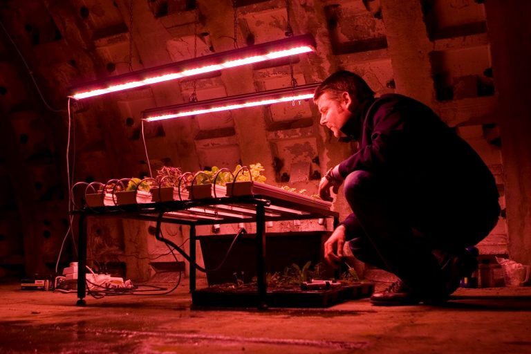 圖／台灣有「大廈農場」，英國則有「防空洞農場」。來源：Growing Underground